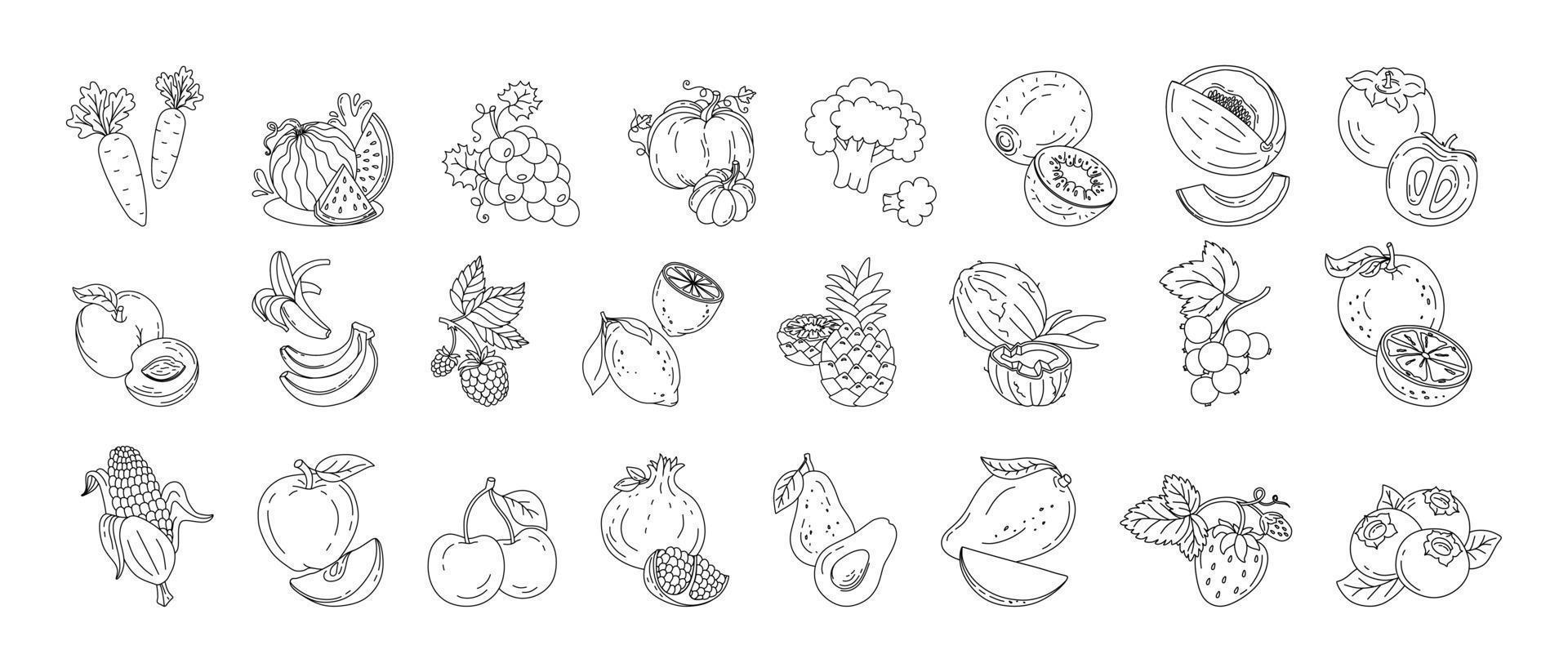 Fruits and berries doodle set Vector black and white illustration isolated on a white background