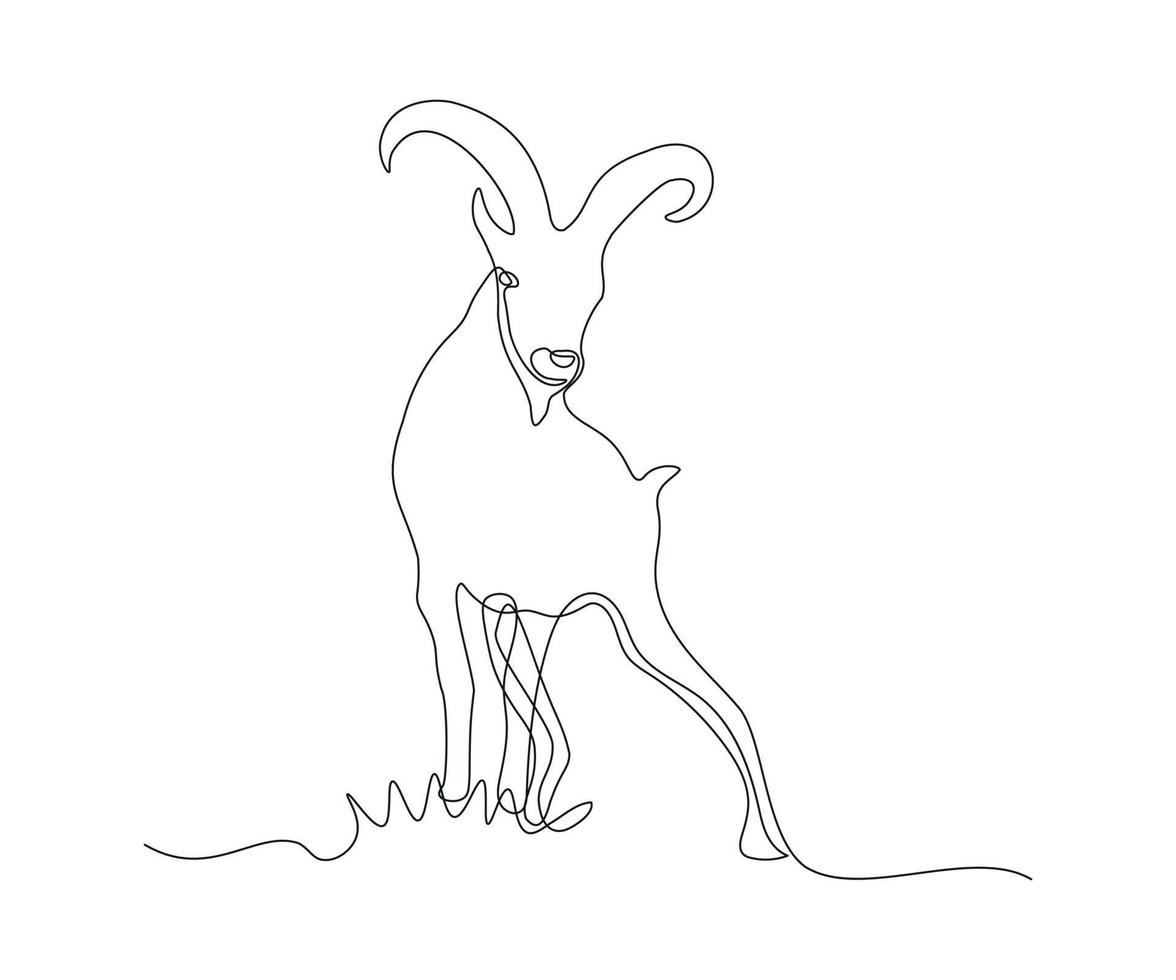 abstract mountain sheep, argali Continuous One Line Drawing vector