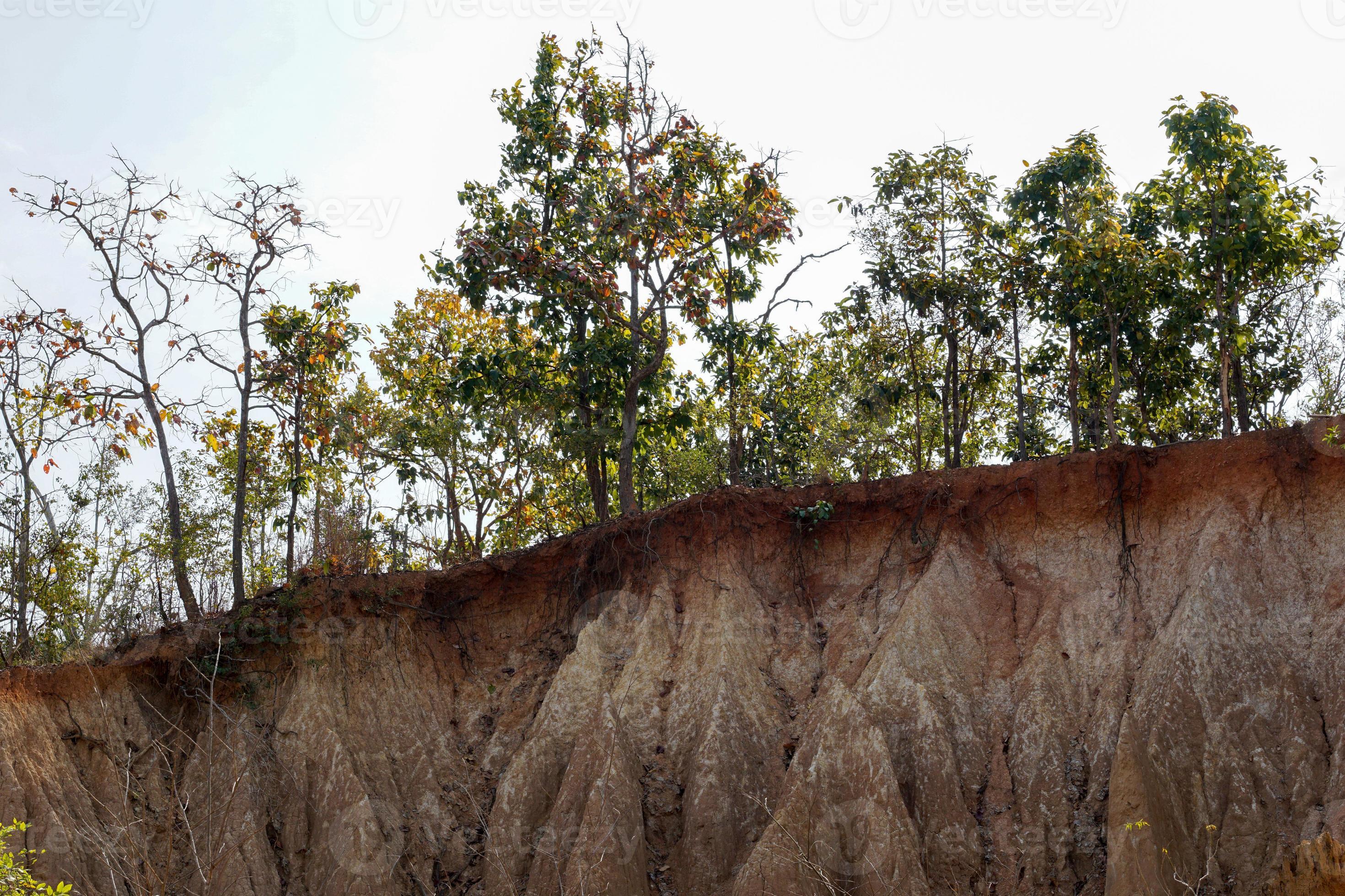 Soil Horizon Each horizon is different in color, surface texture