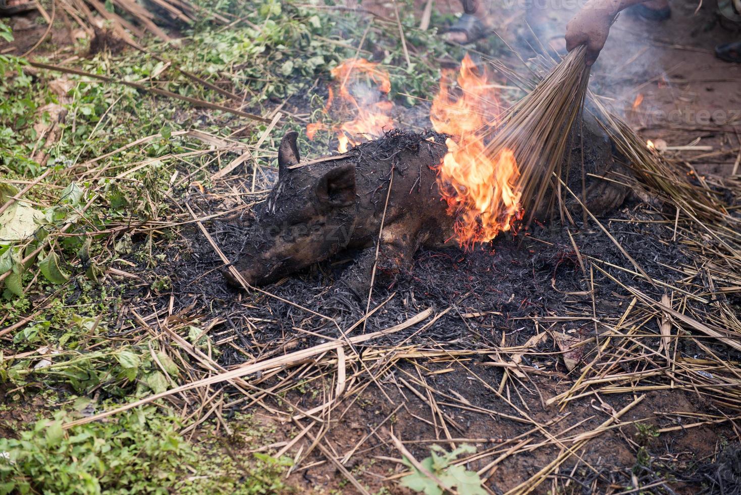 Burning the hair off and roasting photo