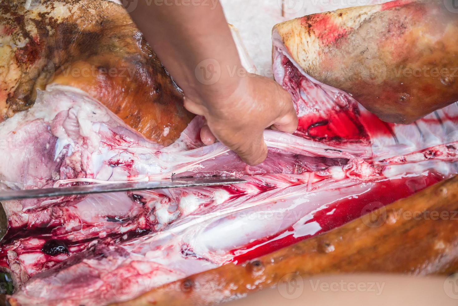 slicing pork with knife photo