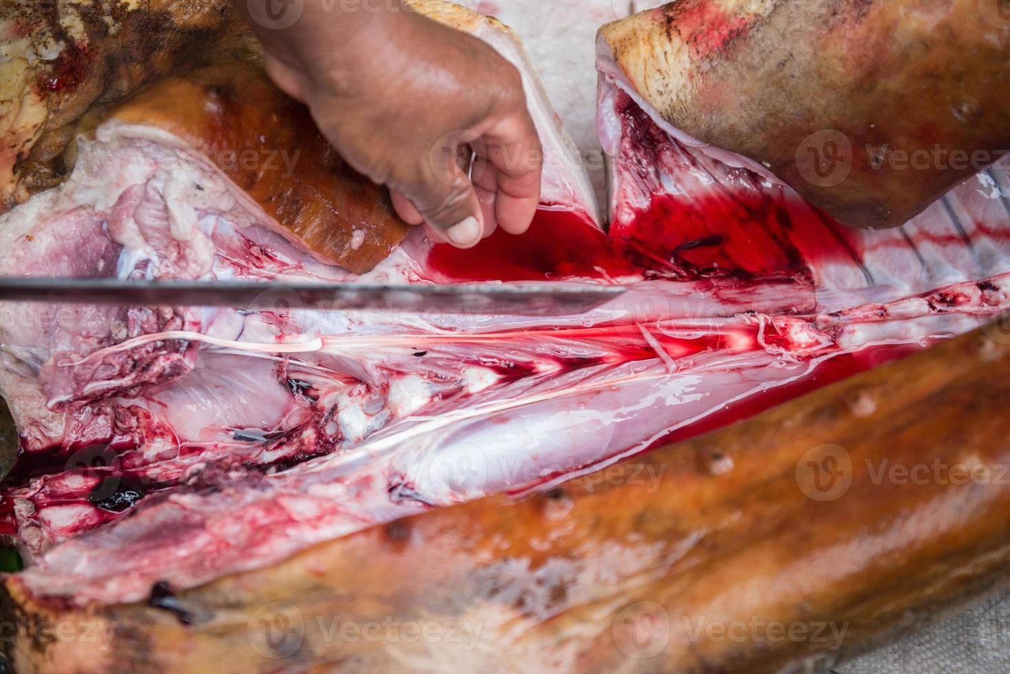 slicing pork with knife photo