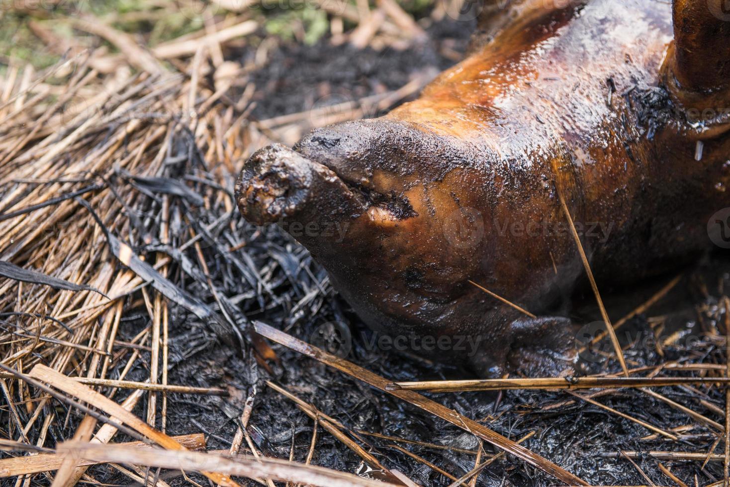 ardiente el pelo apagado y asado foto