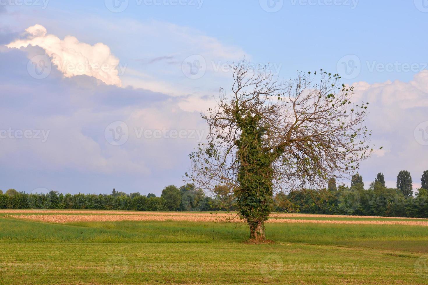 escénico rural paisaje foto