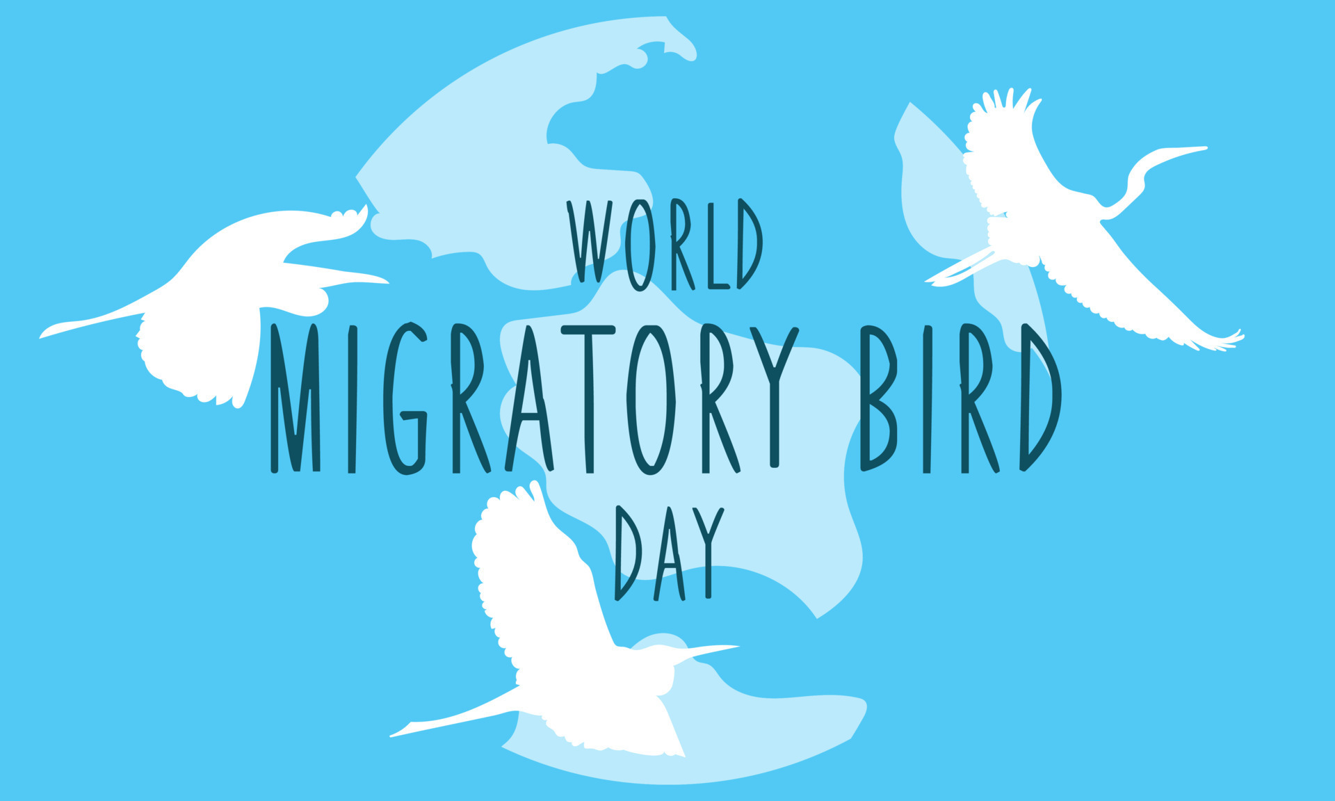 World Day of Migratory Birds. Template for background, banner, postcard ...