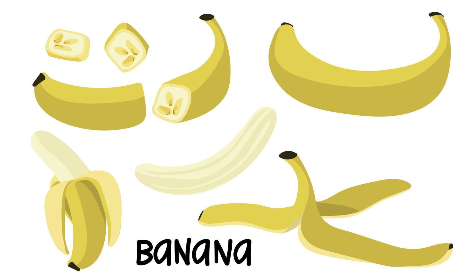 A set of bananas in different versions is whole and in section. Bananas chopped, half. Peel the banana, yellow fruit. Tropical fruits, banana snacks or vegetarian meals. Icon set isolated vector