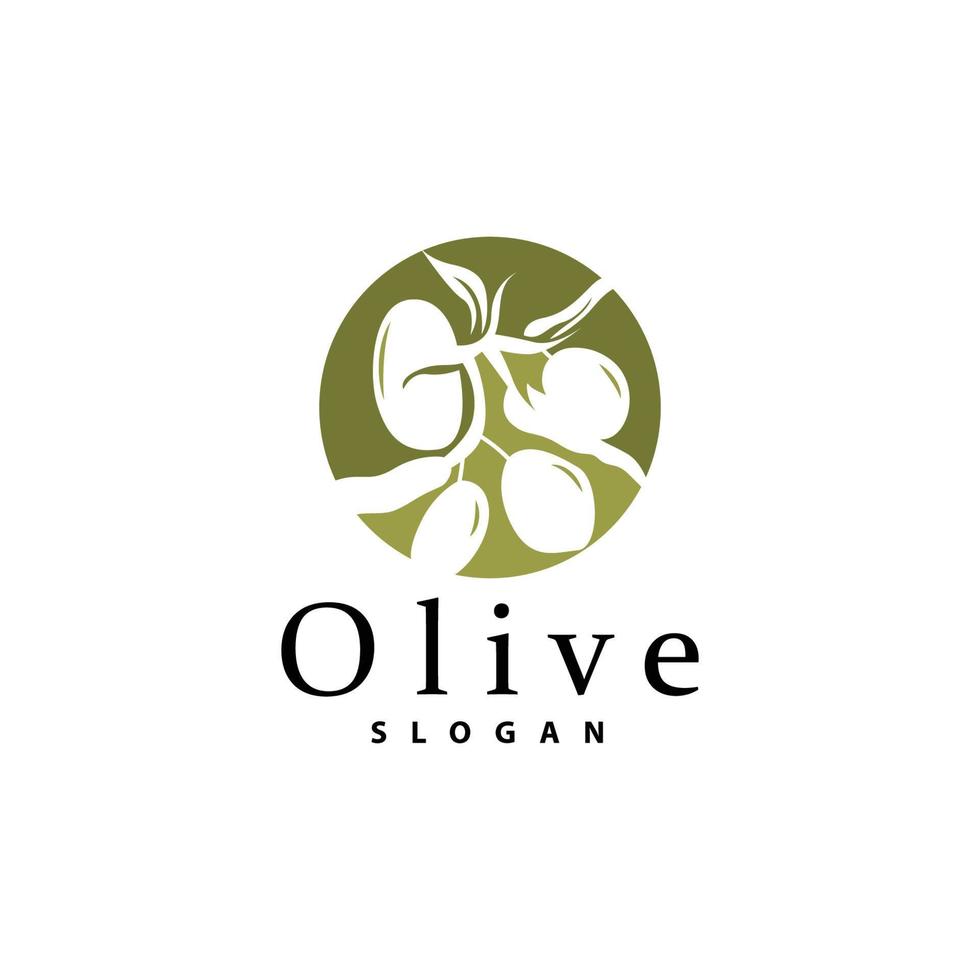 Olive Oil Logo, Olive Leaf Plant Herbal Garden Vector, Simple Elegant Luxurious Icon Design Template illustration vector