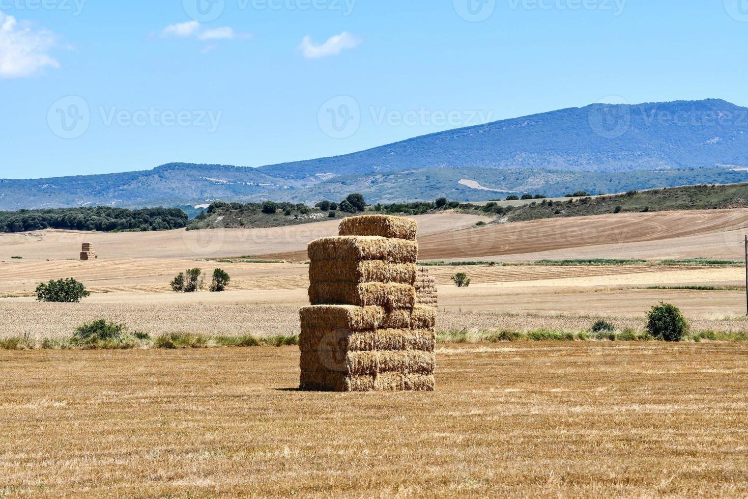 Scenic rural landscape photo