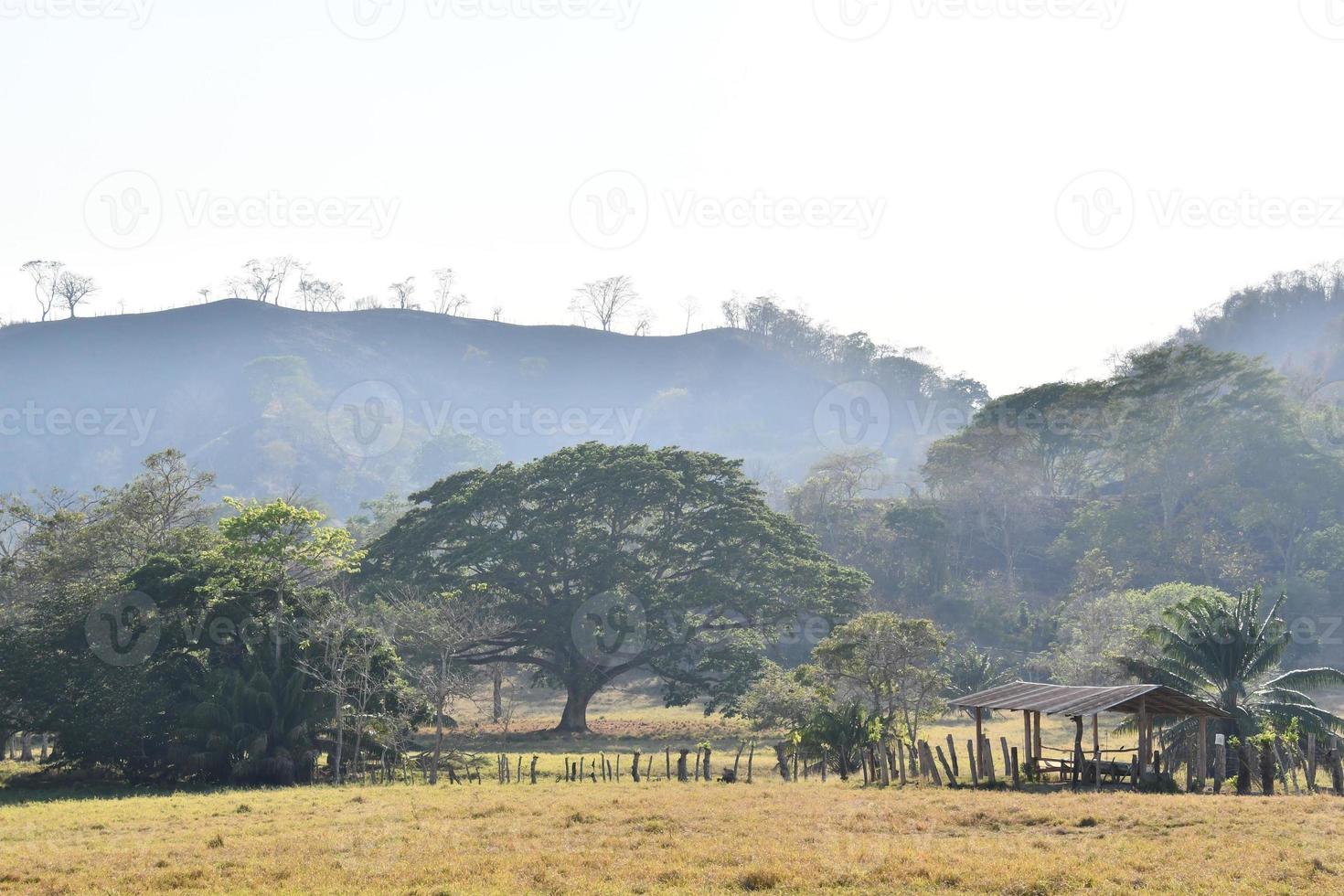 Scenic rural landscape photo