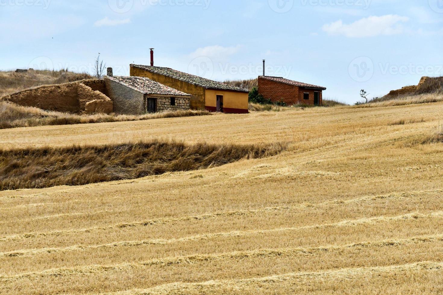 Scenic rural landscape photo