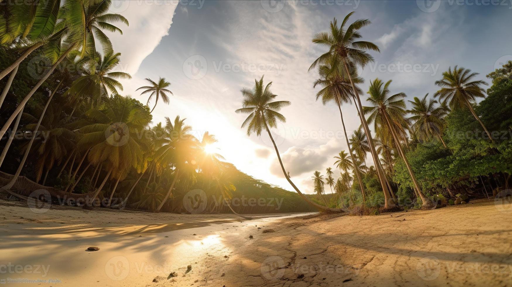 tropical paraíso o Coco palma playa o blanco arena laguna foto