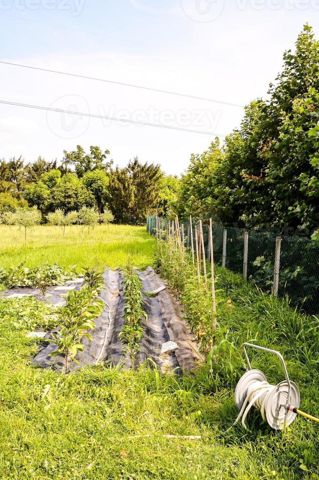 escénico rural paisaje foto