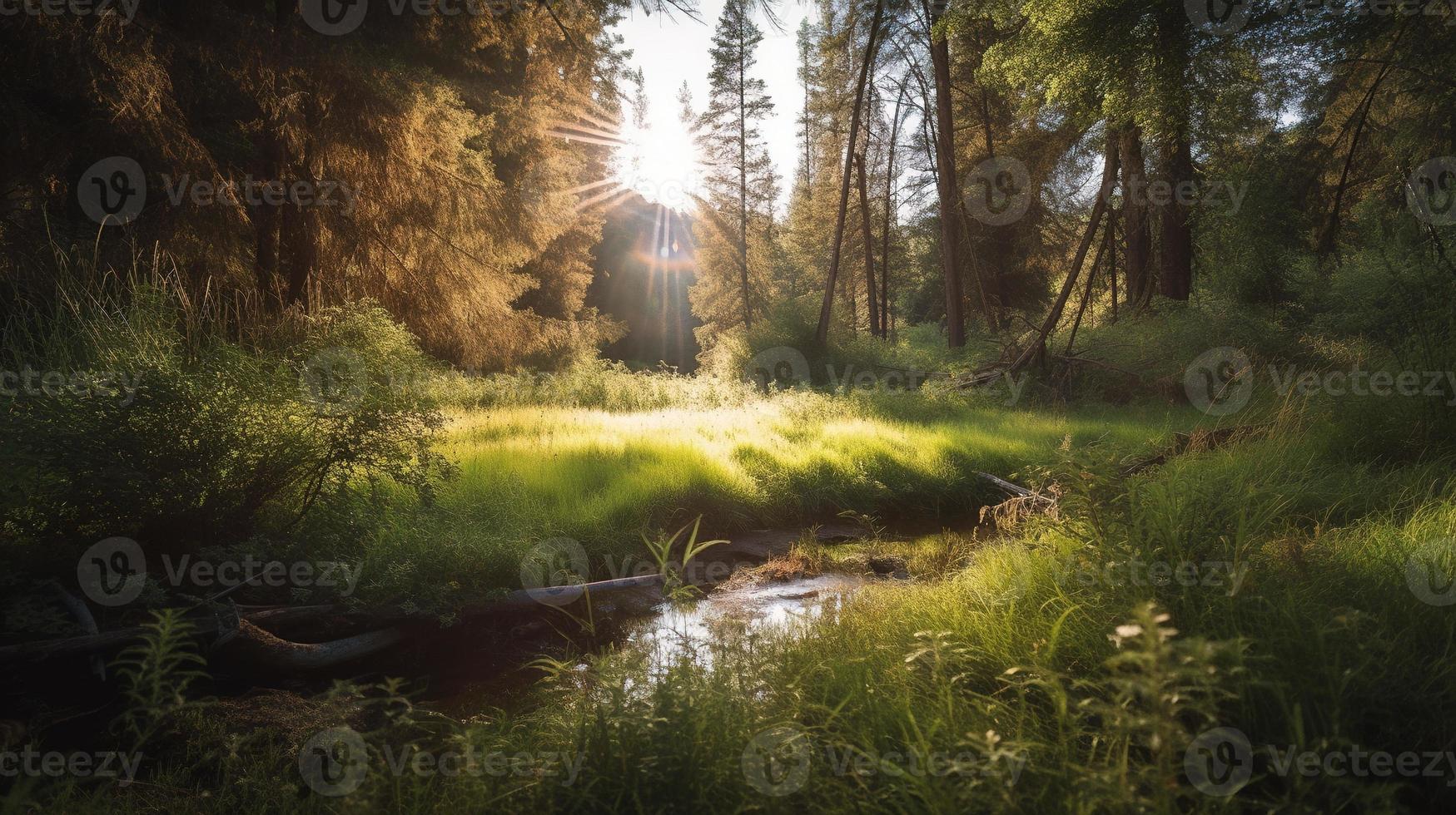 A peaceful forest clearing bathed in warm sunlight, surrounded by tall trees and lush foliage, with a gentle stream trickling through the undergrowth and a distant mountain range visible photo