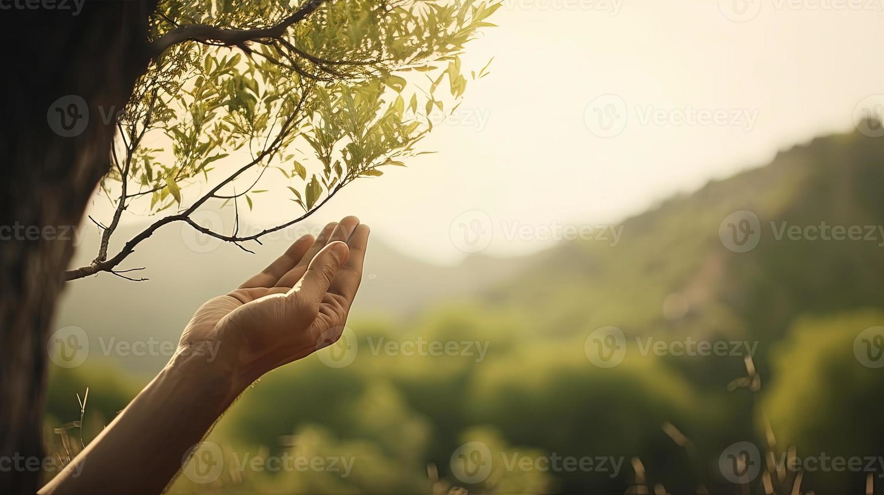 Artistic Hands Embrace Nature's Beauty Holding Tree Over Blurred Background photo