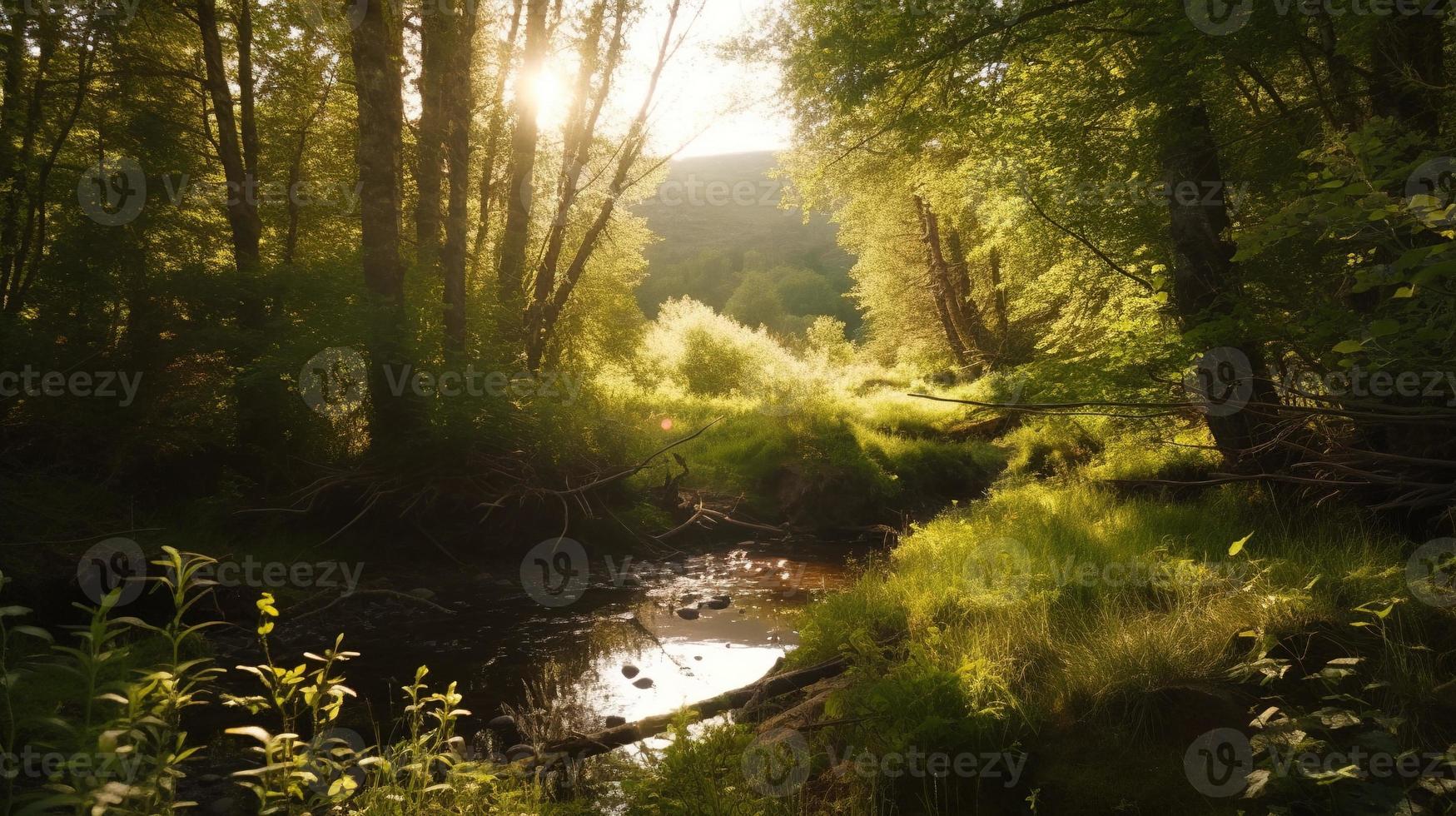 un pacífico bosque claro bañado en calentar luz de sol, rodeado por alto arboles y lozano follaje, con un amable corriente goteando mediante el maleza y un distante montaña rango visible foto