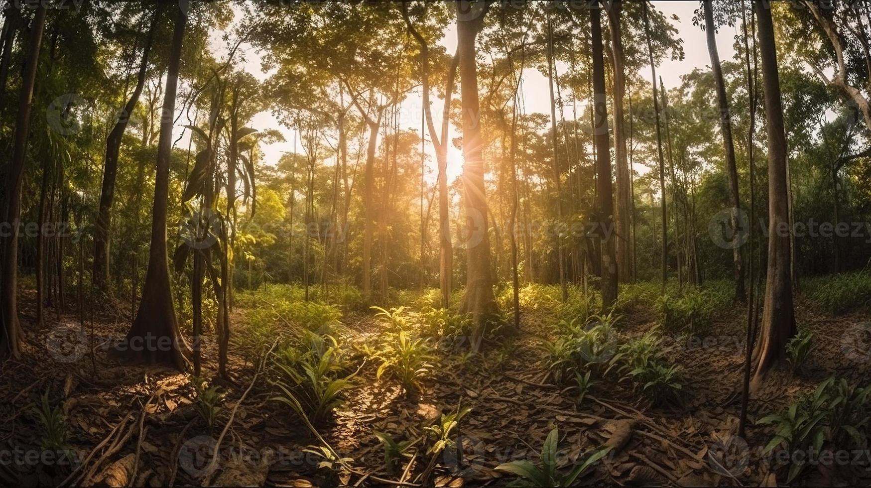 A peaceful forest clearing bathed in warm sunlight, surrounded by tall trees and lush foliage, with a gentle stream trickling through the undergrowth and a distant mountain range visible photo