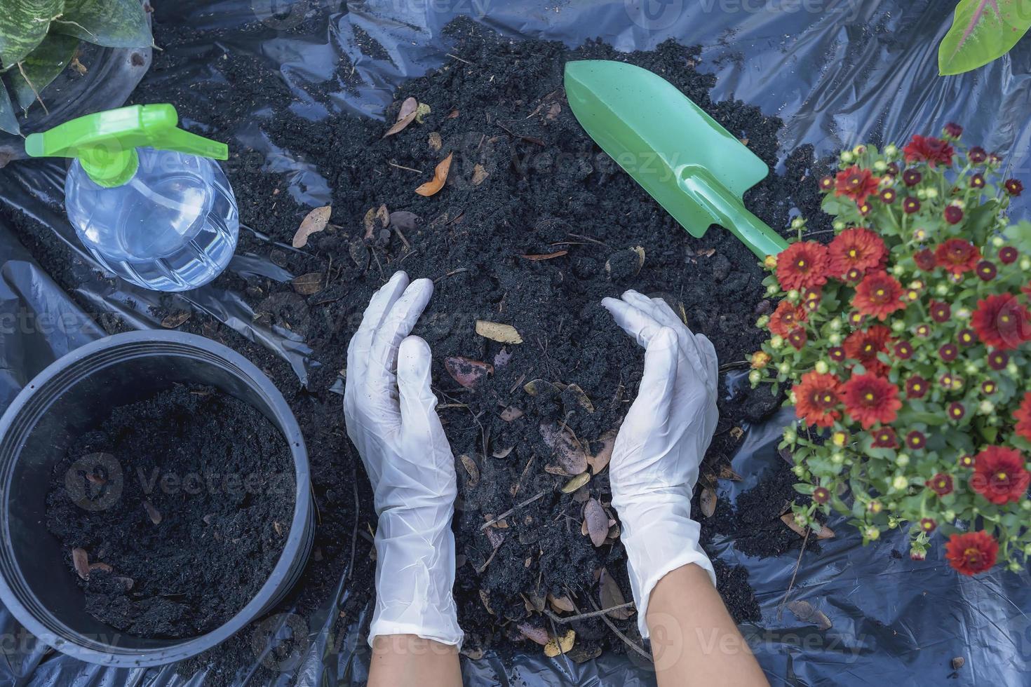 Hands holding abundance soil for agriculture or preparing to plant in a black flowerpot.  Testing soil samples on hands with soil ground background. Dirt quality and farming concept. photo