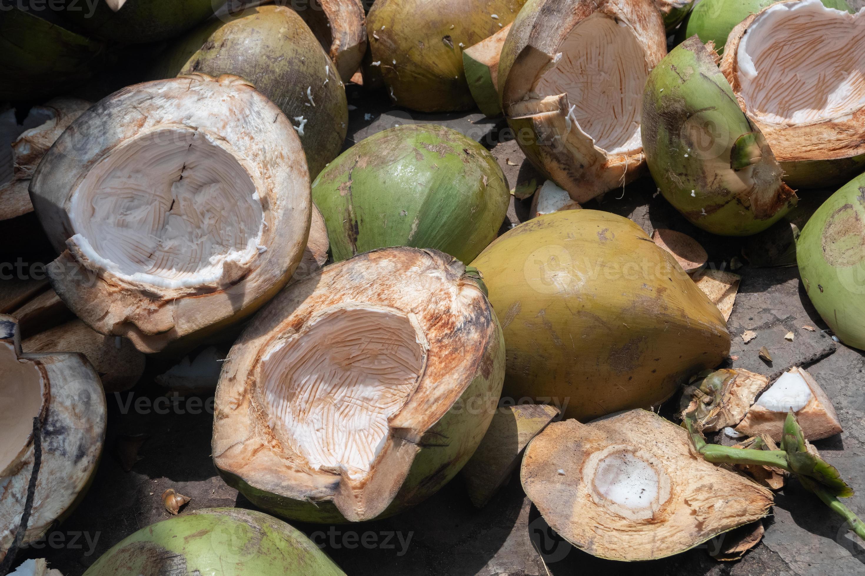A pile of coconut waste to be used as cocopeat products. Coconut coir