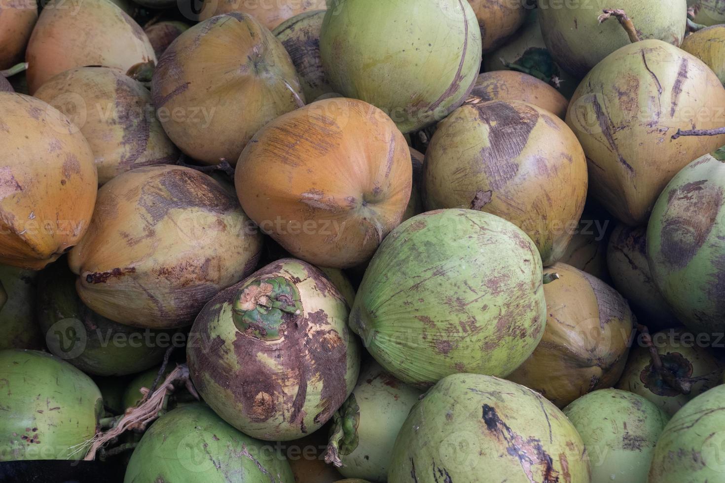 stacks of coconuts ready to produce coconut oil, coconut milk and fresh drinks photo