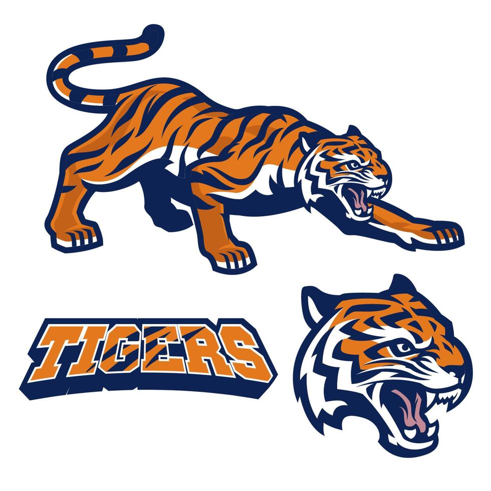 mascot tiger crouching in set vector