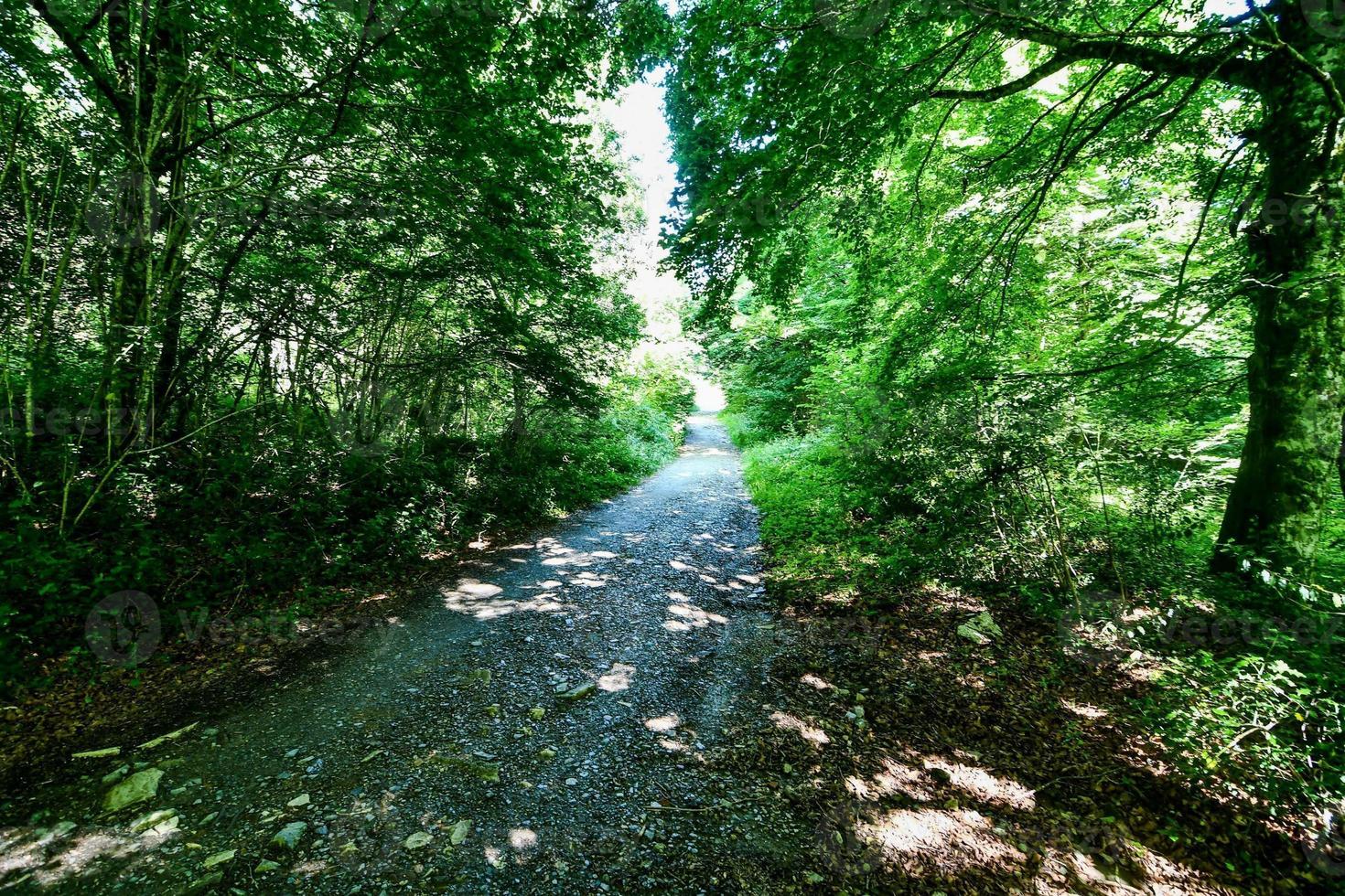 Scenic rural landscape photo