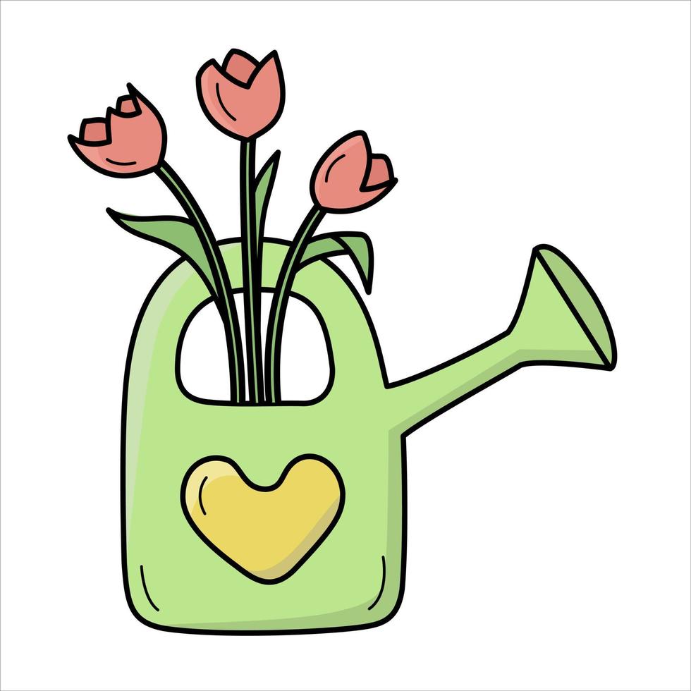 Vector color illustration of watering can with tulips.