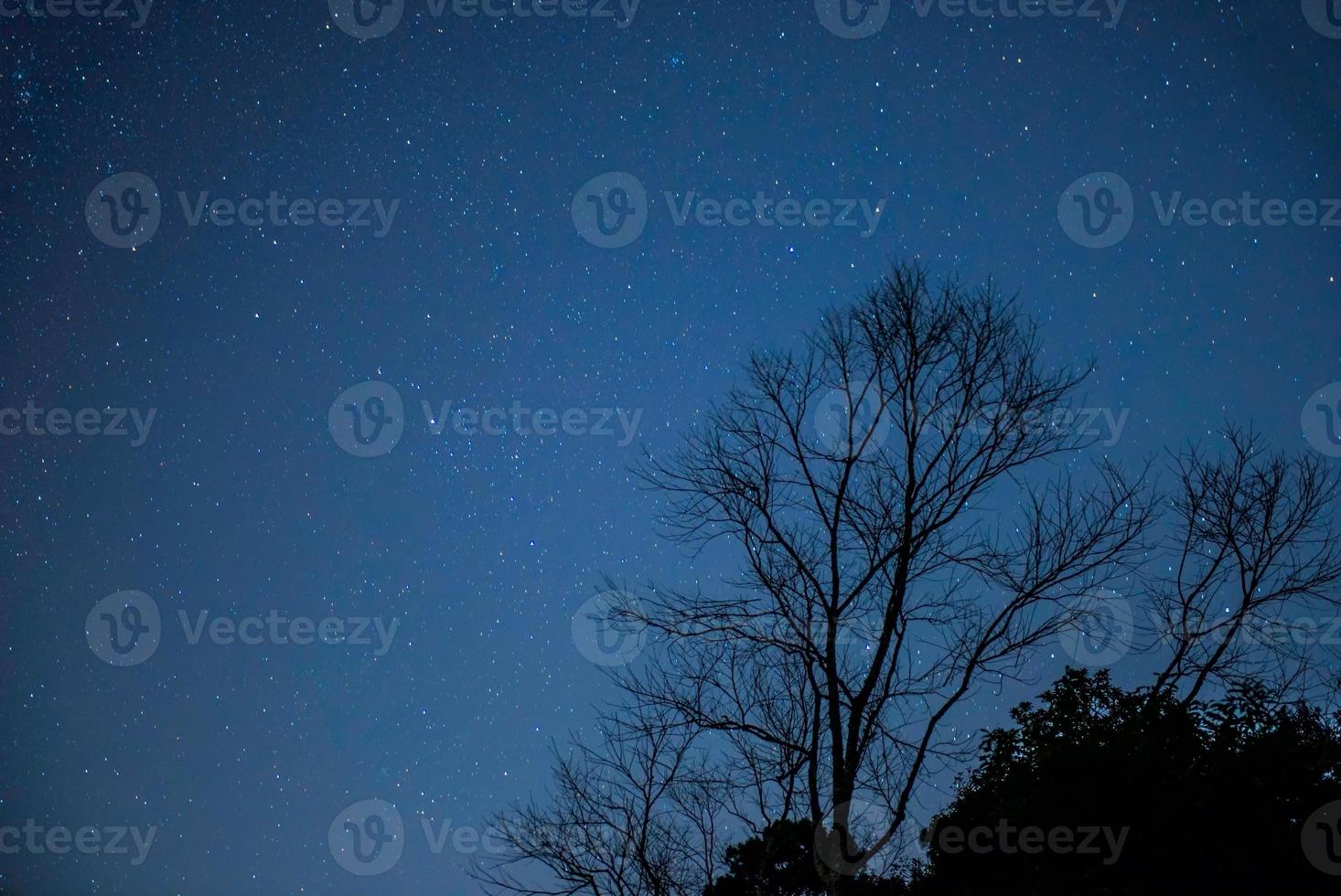 Star on night sky photo