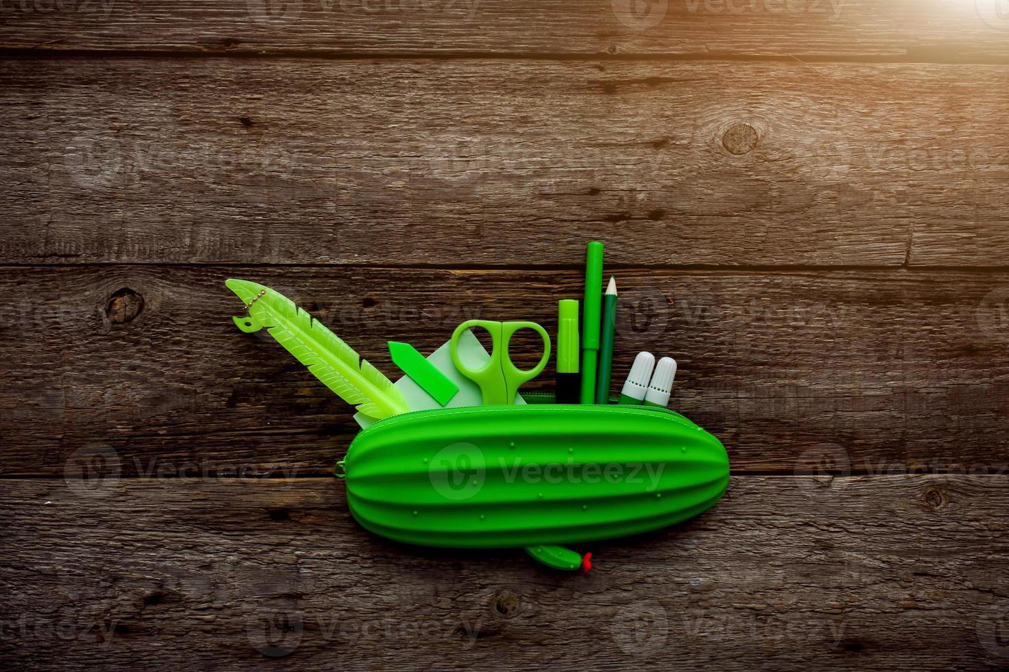 Cactus - shaped pencil case and school supplies on wood background. Stationery green. Back to school concept. photo