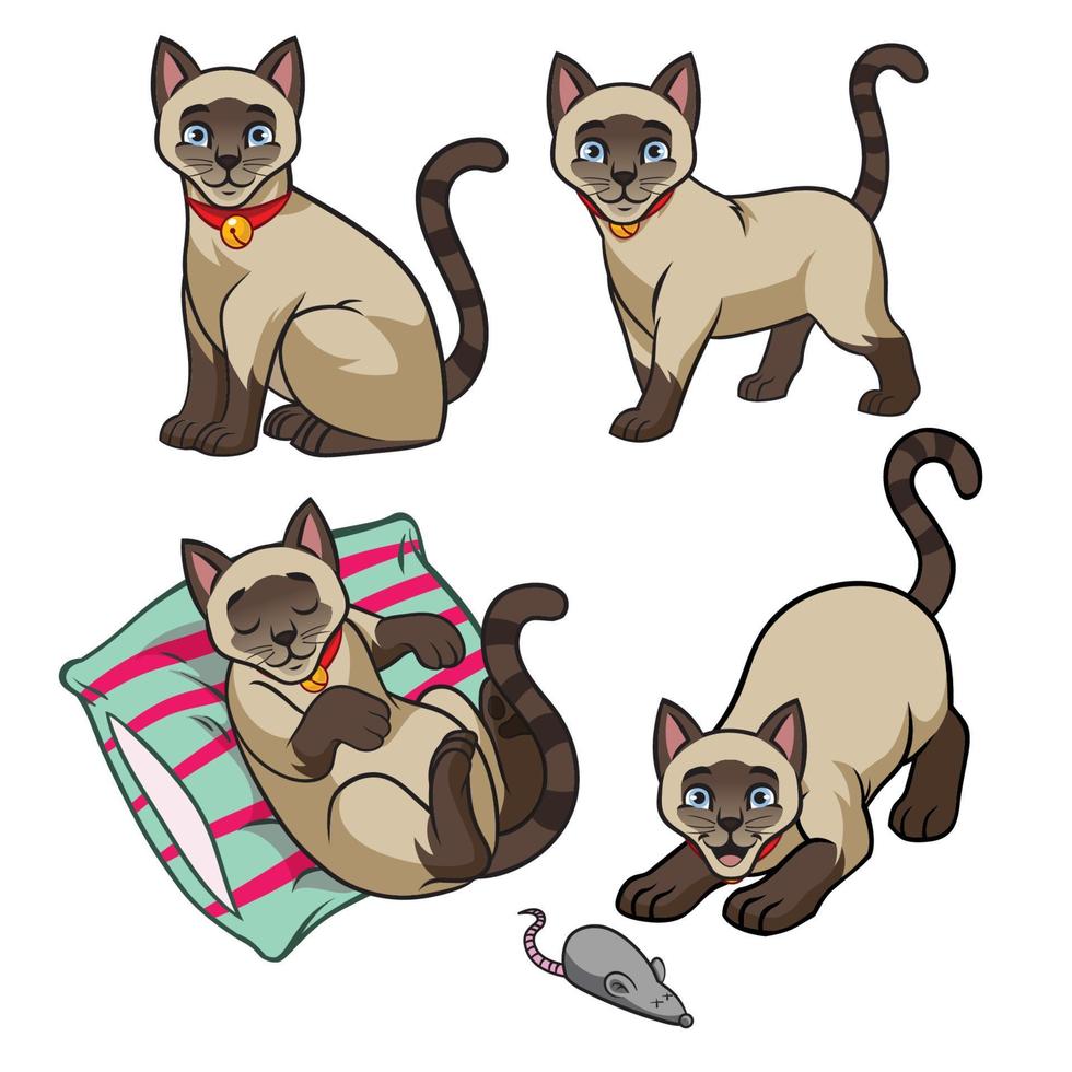 linda siamés gato conjunto vector