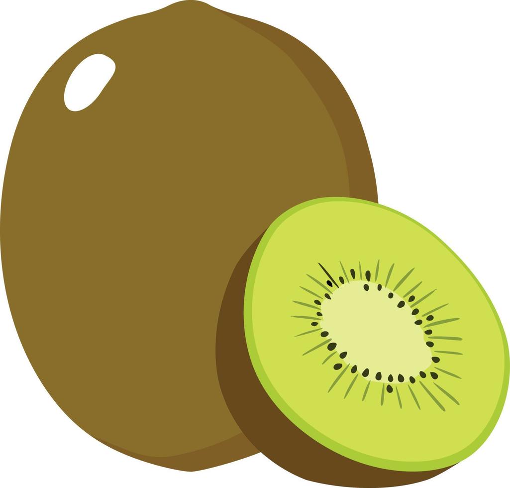 Green Kiwi Tropical and exotic fruit illustration vector