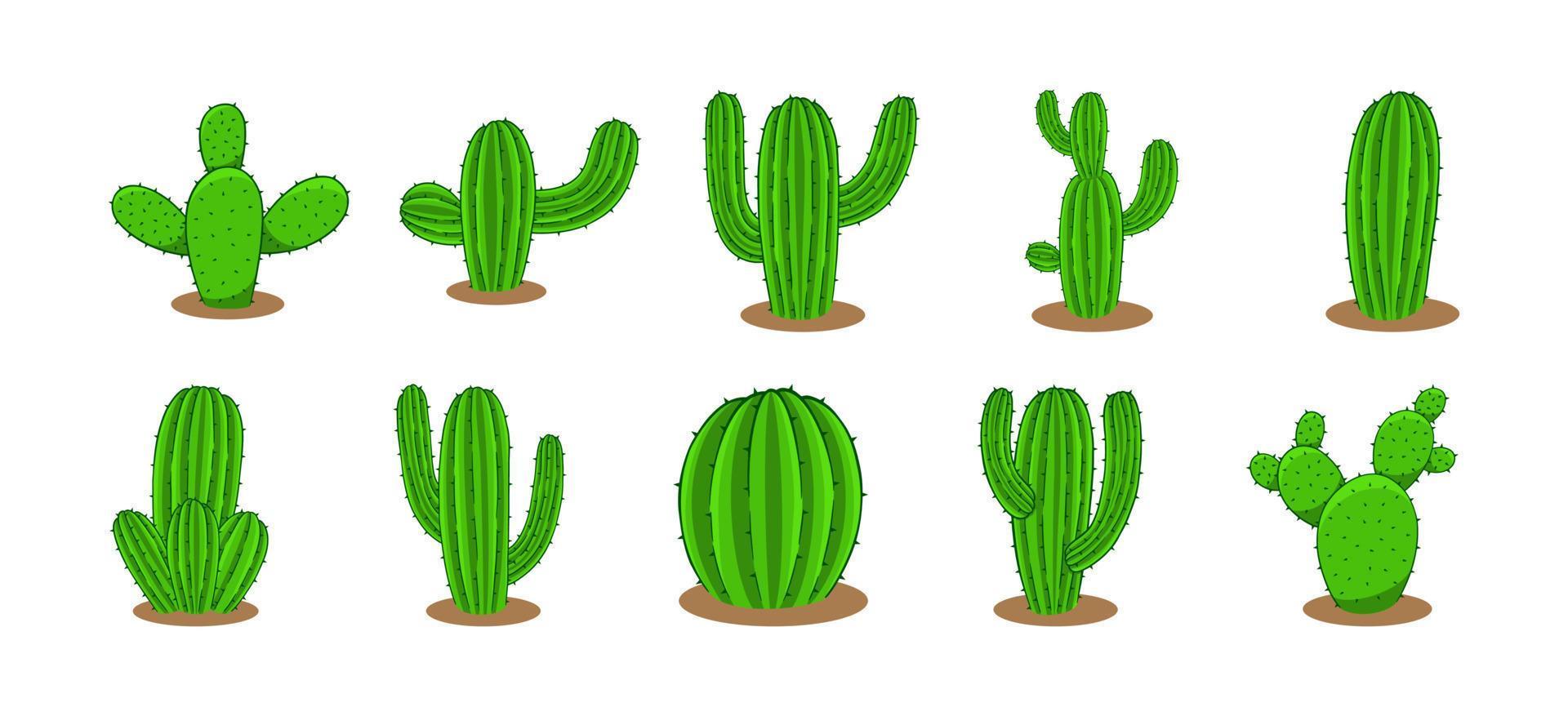 colección de cactus planta vector diseños