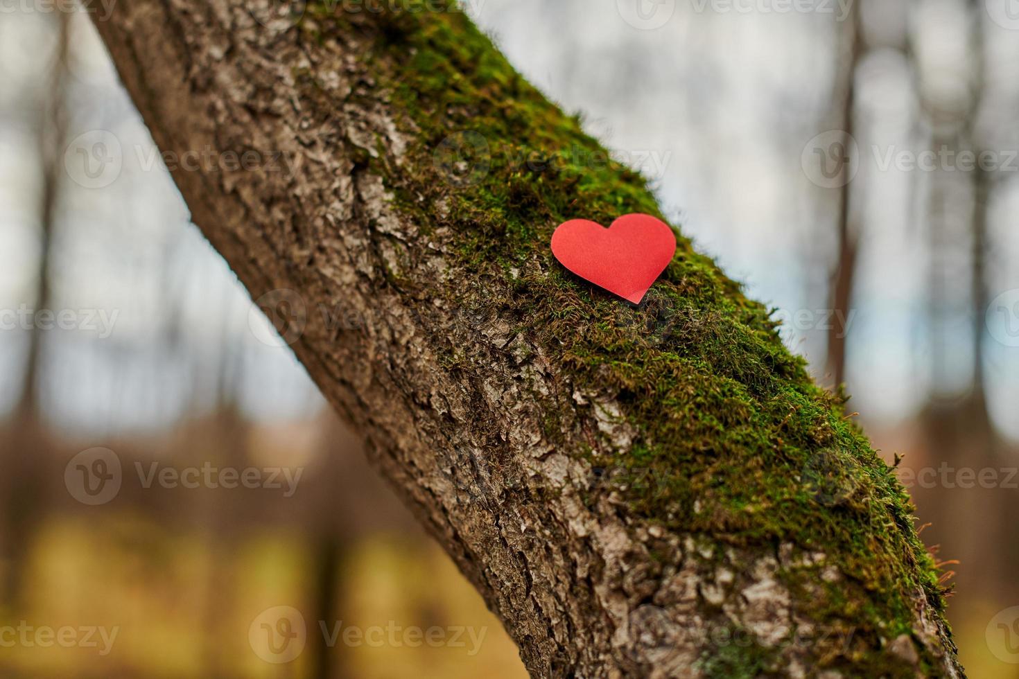 Environment protection symbol, copy space photo