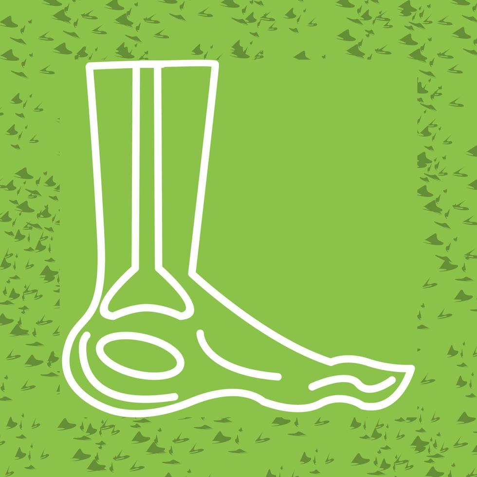 Foot X ray Vector Icon