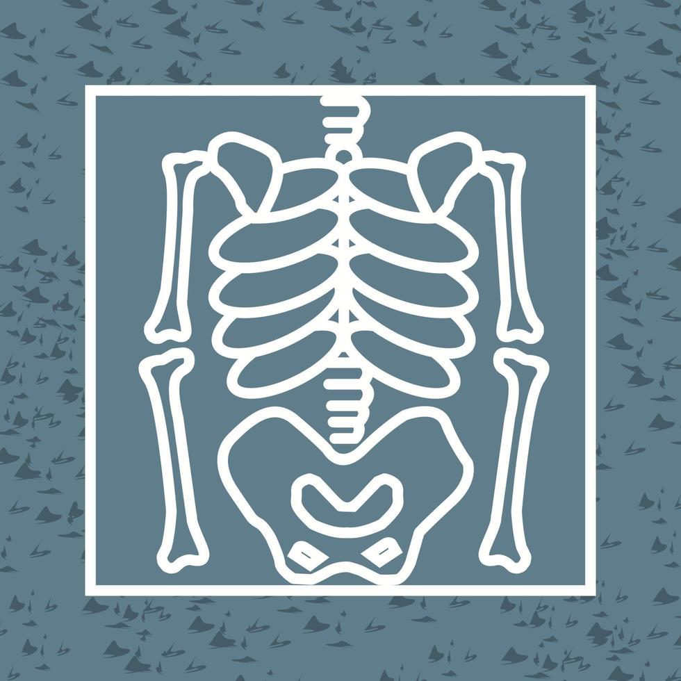 Skeleton Vector Icon