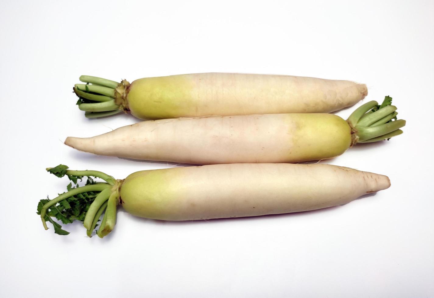 White Radish or Daikon isolated in white background photo