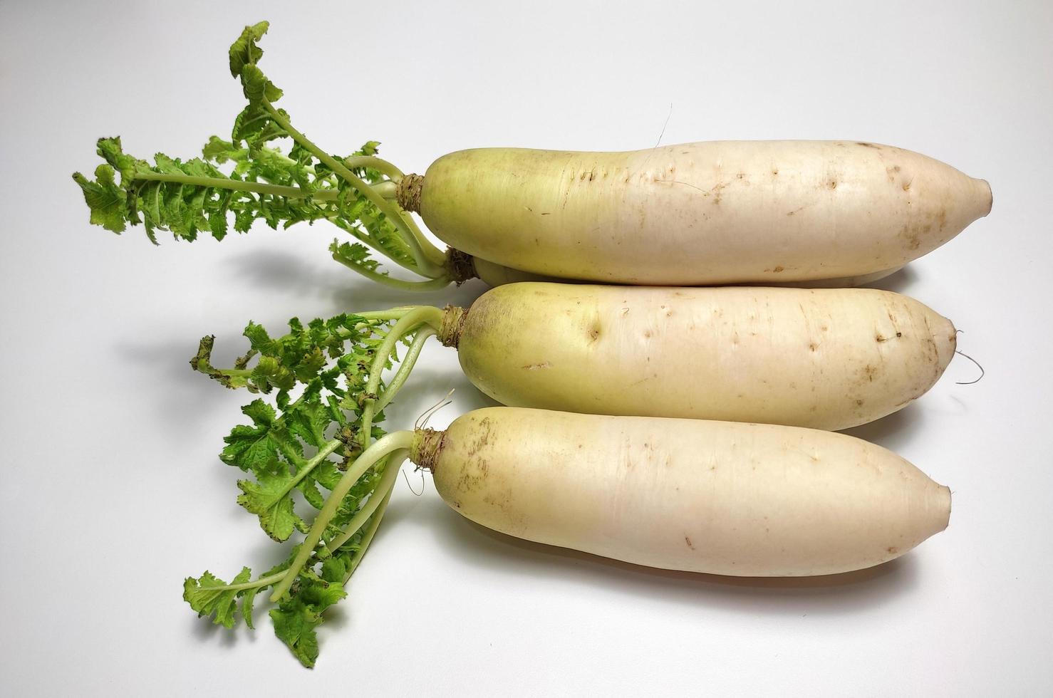 White Radish or Daikon isolated in white background photo