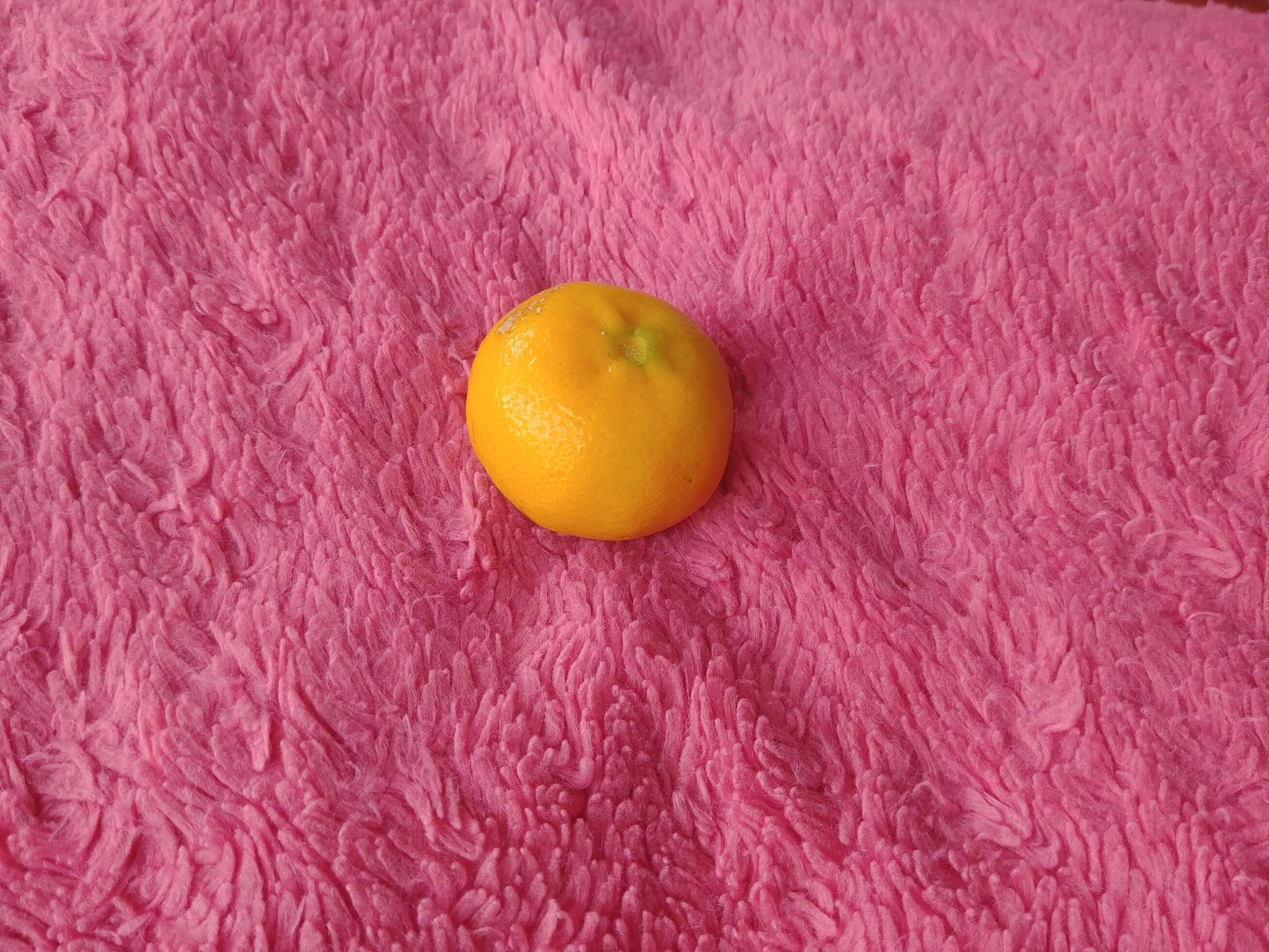 pink fluffy background citrus fruits 21909444 Stock Photo at Vecteezy