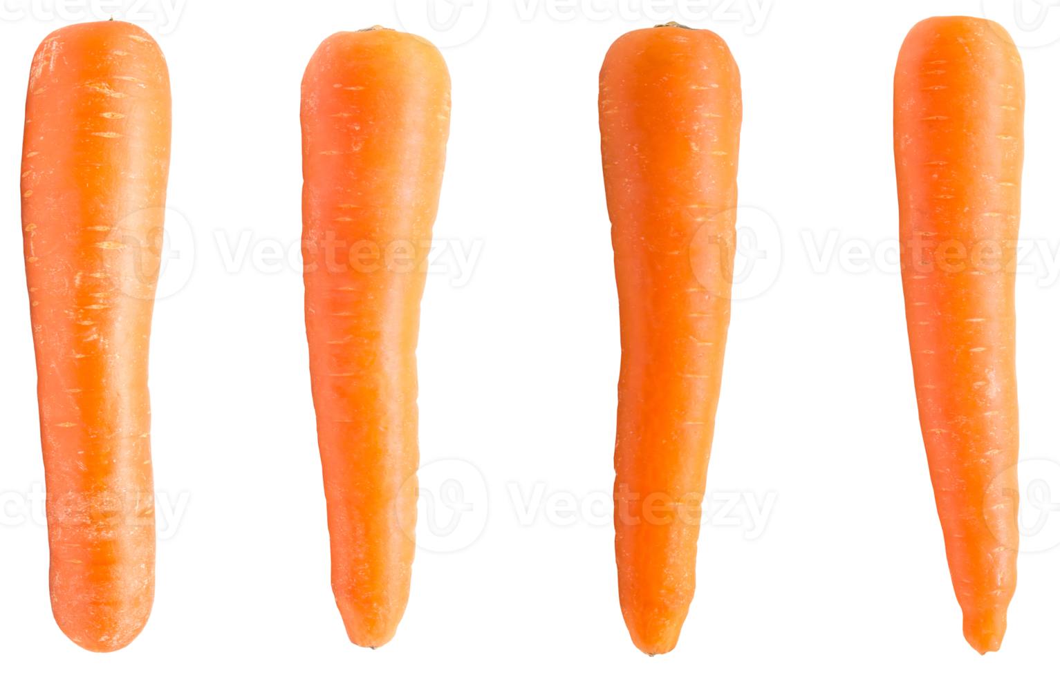 fresh sweet carrots png