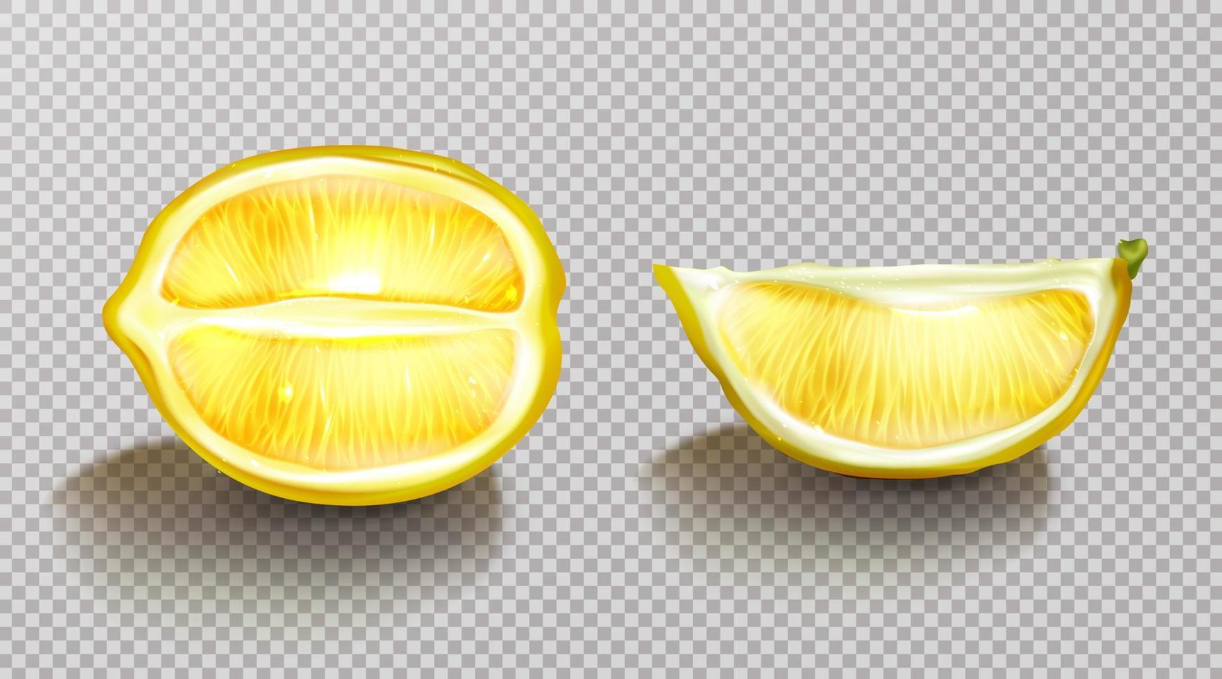 Lemon, sliced citrus with shadow realistic vector