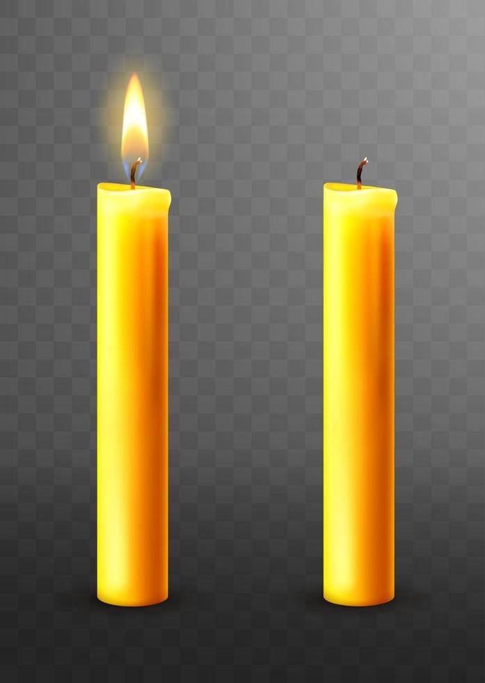 Burning, extinguished candle isolated vector