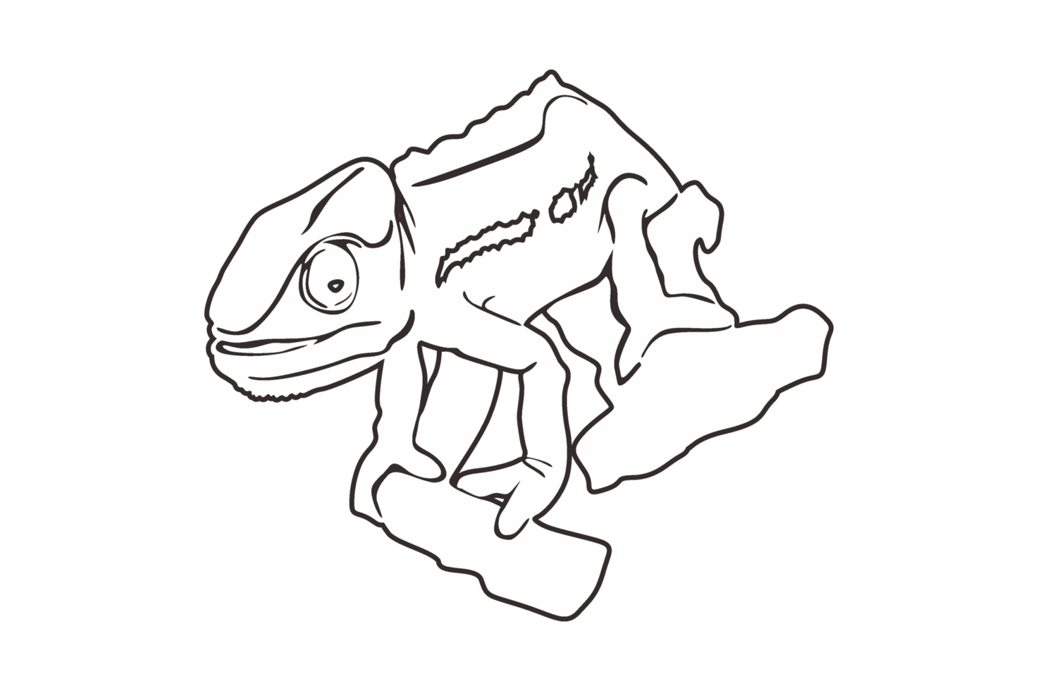 Reptile Animal - Chameleon Line Art png