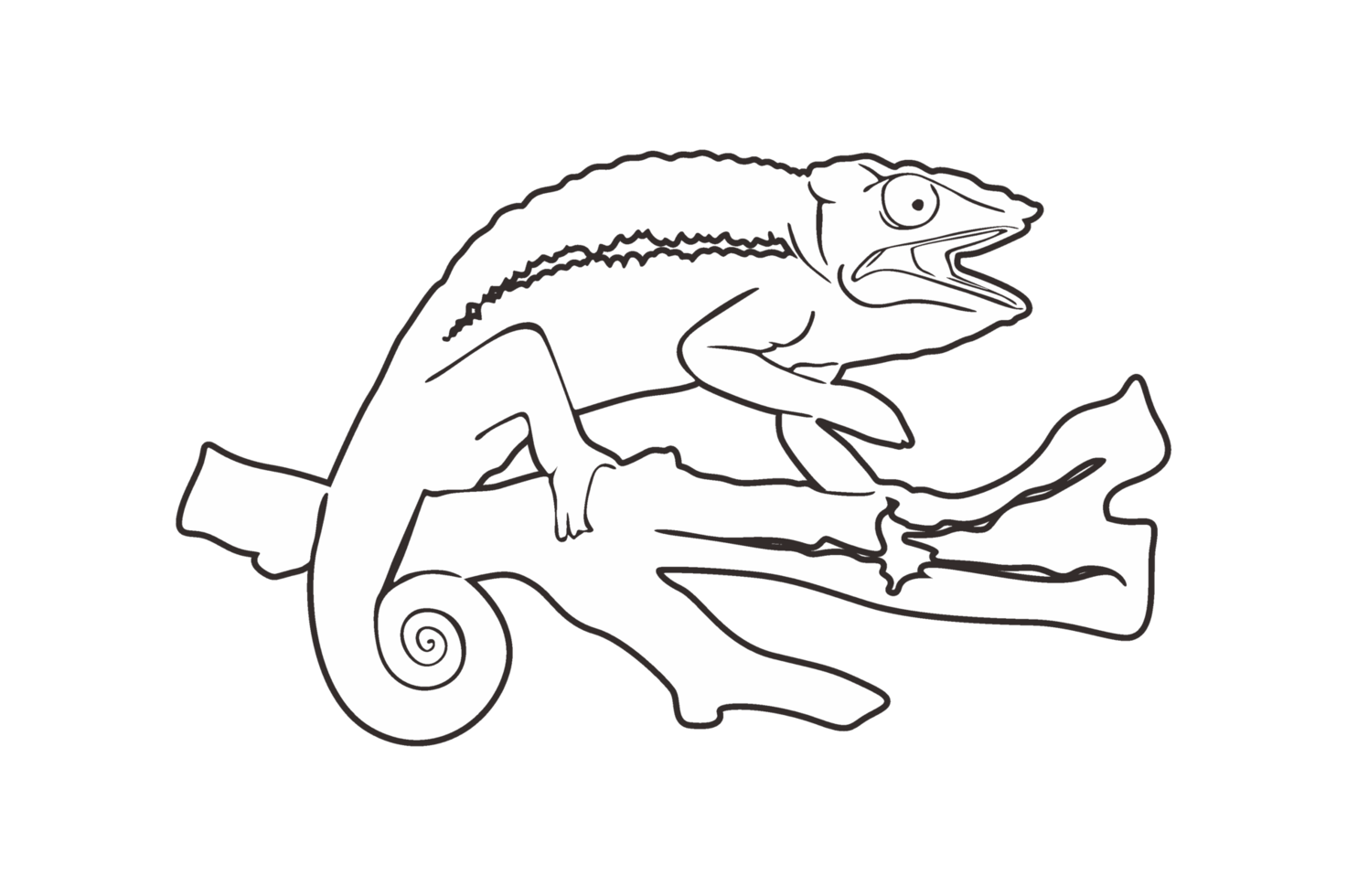 Reptil Tier - - Chamäleon Linie Kunst png