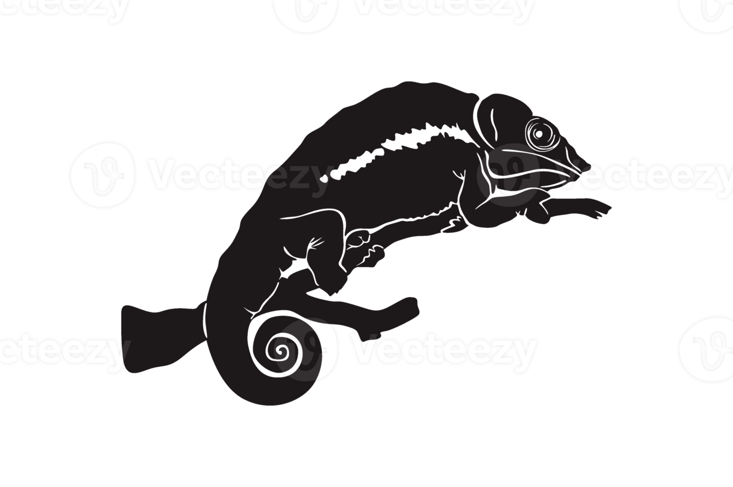 Black Silhouette Of Chameleon png