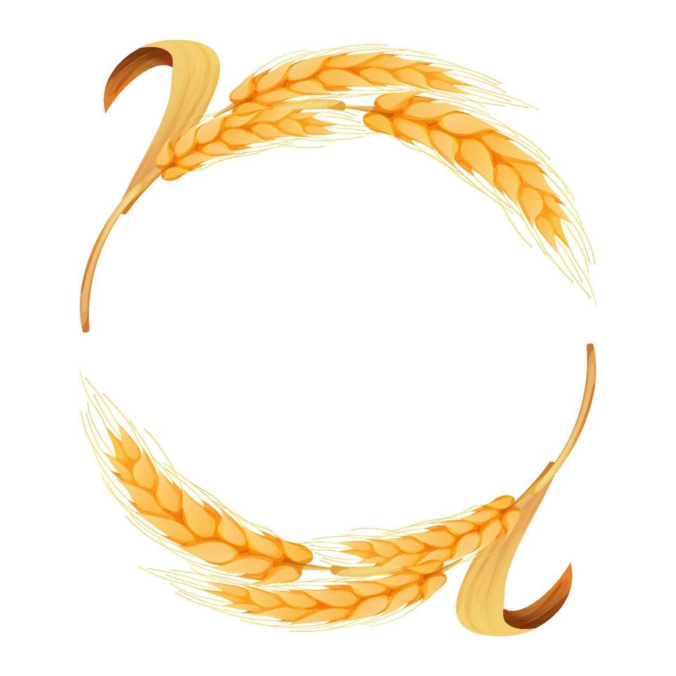 WebWreath from spikelet, golden color wheat round frame in cartoon style isolated on white background. For bakery, tags or labels. Vector illustration