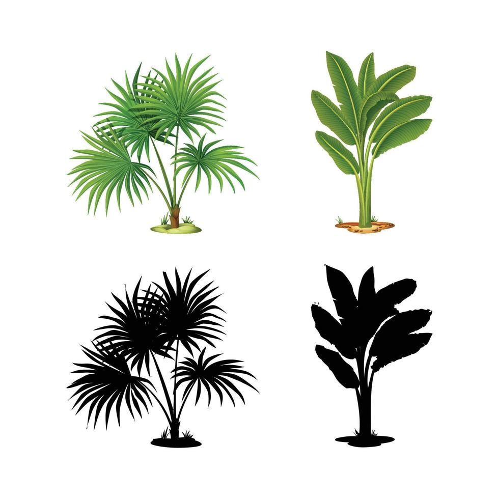 collection of trees and shadows vector