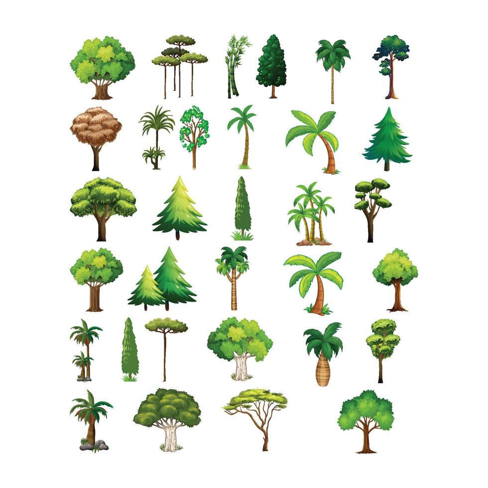 collection of trees and plants vector