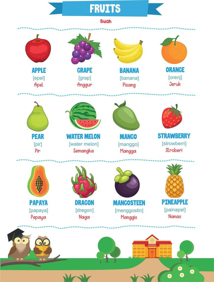 aprendizaje nombres de frutas para niños con linda imágenes vector