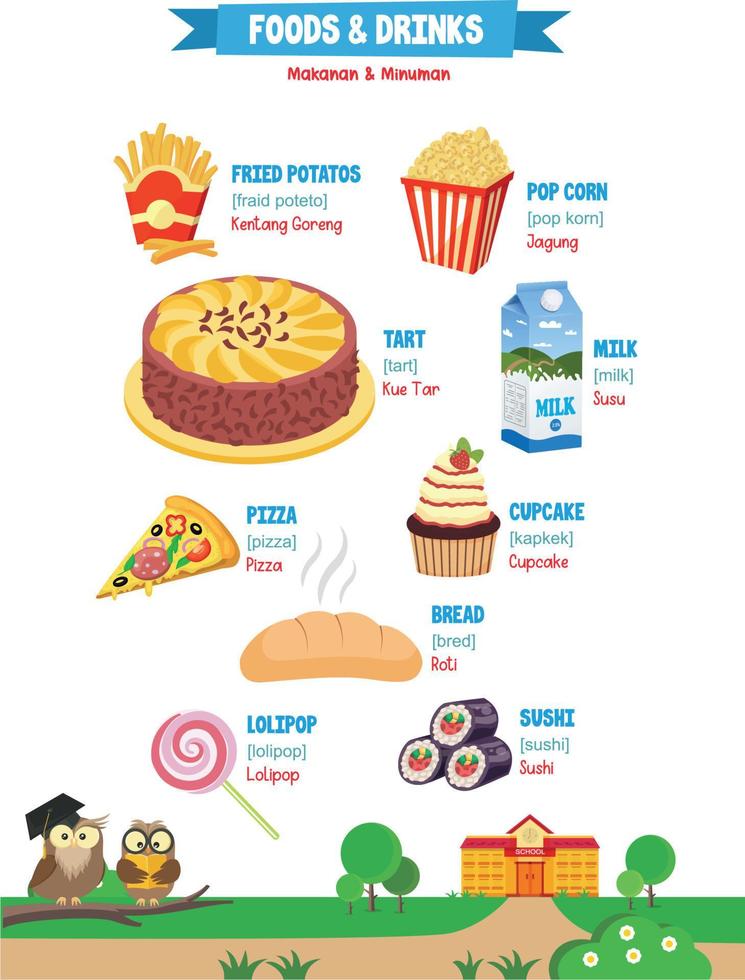 Learning names of foods and drinks for kids vector