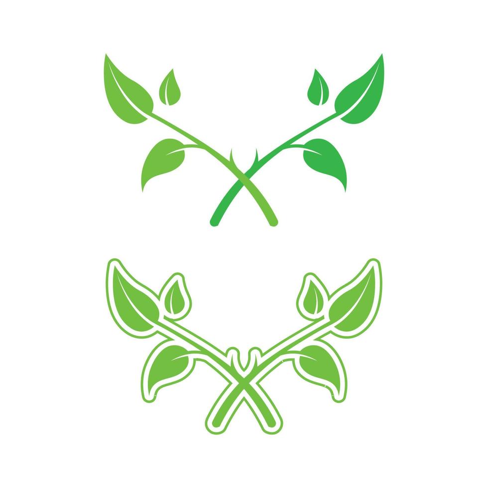 Eco Energy Vector Logo with leaf symbol. Green color with flash or thunder graphic. Nature and electricity renewable. This logo is suitable for technology, recycle, organic.