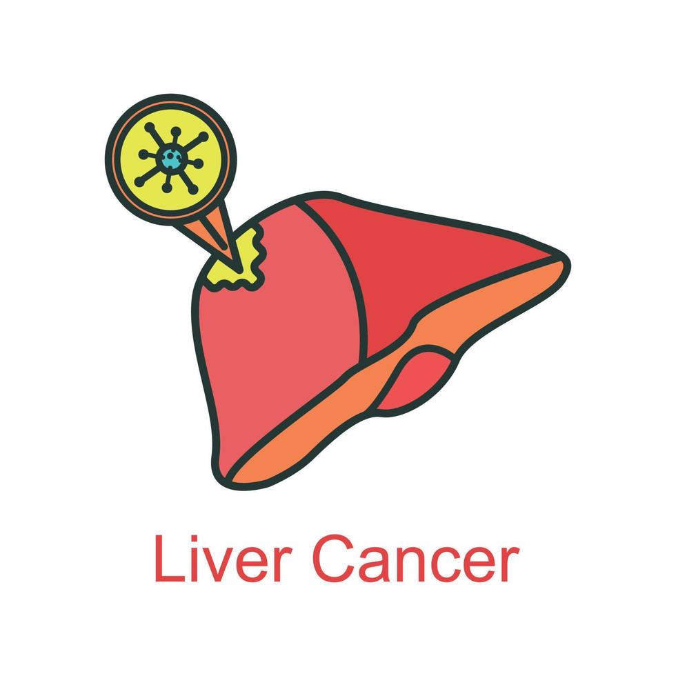 liver cancer icon  flat color vector